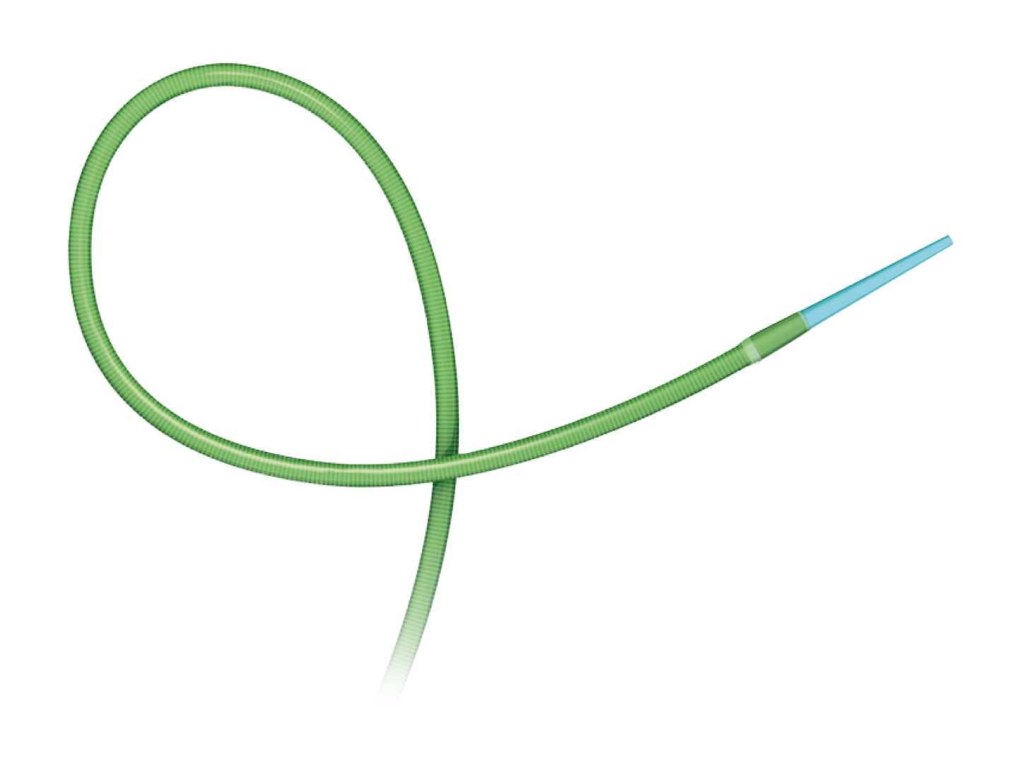 Terumo